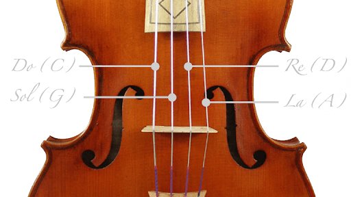 Cuerdas de la Viola (Características de la Viola)