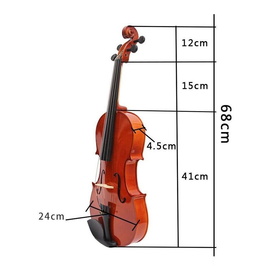Tamaño de la Viola (Características de la Viola)