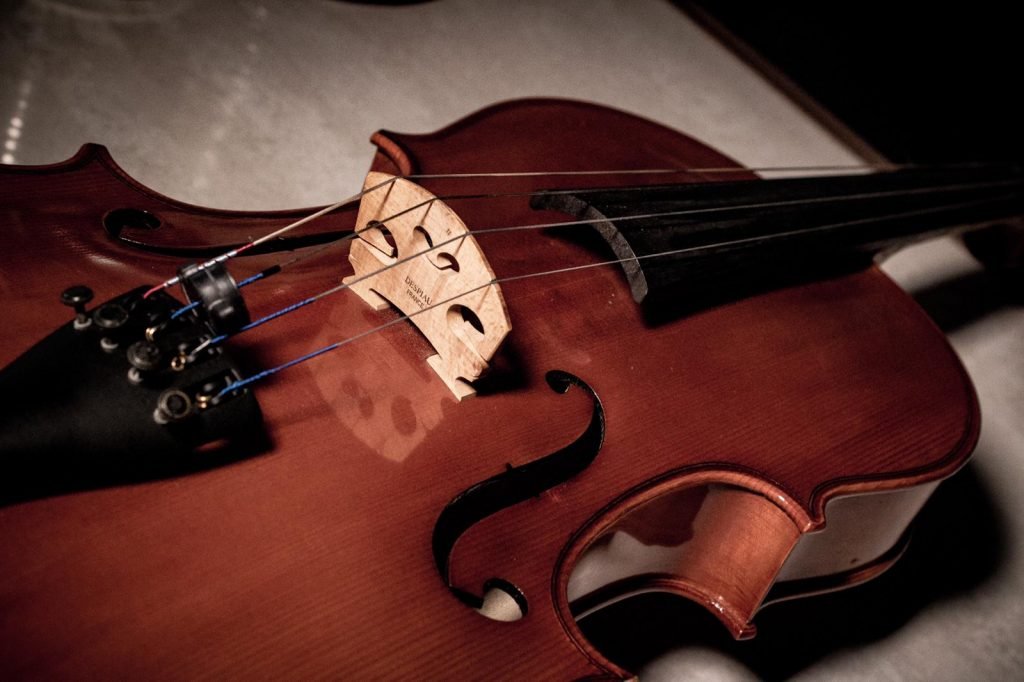 Partes de la viola