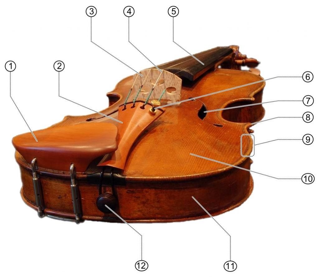 Botón de Viola